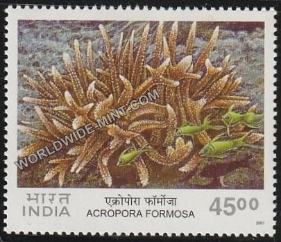2001 Corals of India-Acropora Formosa MNH