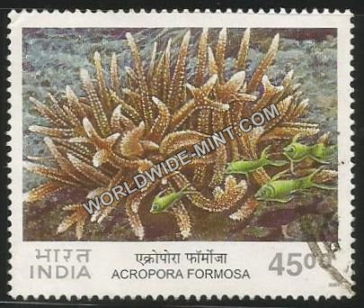 2001 Corals of India-Acropora Formosa Used Stamp