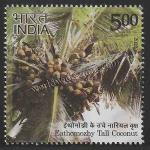 2023 INDIA Geographical Indications: Agricultural Goods - Eathomozhy Tall Coconut MNH