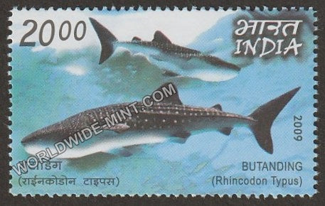 2009 India Philipins Joint Issue-Butanding MNH