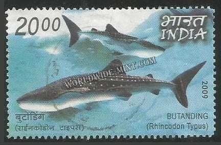 2009 India Philipins Joint Issue - Butanding Used Stamp