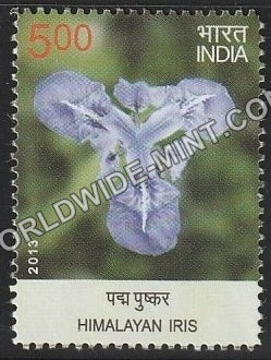 2013 Wild Flowers-Himalayan Iris MNH
