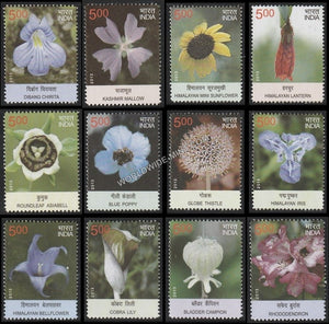 2013 Wild Flowers-Set of 12 MNH