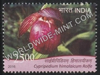 2016 Orchids-Cypripedium Himalaicum MNH