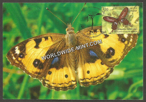 2016 Butterflies of Odisha - Post Card #MC49