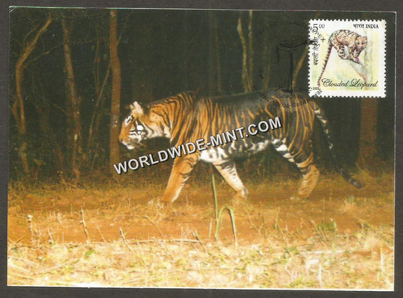 2016 Melanistic Tiger - Post Card #MC50