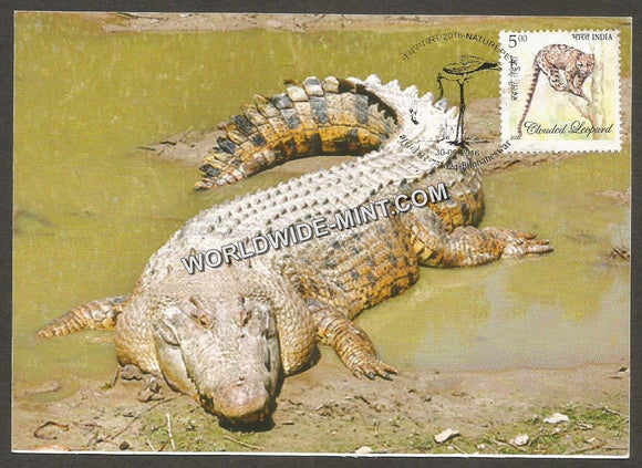 2016 Estuarine Crocodile - Post Card #MC53