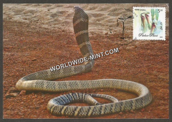 2016 King cobra - Post Card #MC54