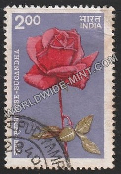 1984 Indian Roses-Sugandha Used Stamp
